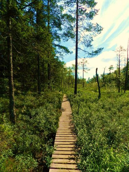 so gehn die Wege kilometerlang durch die Parks