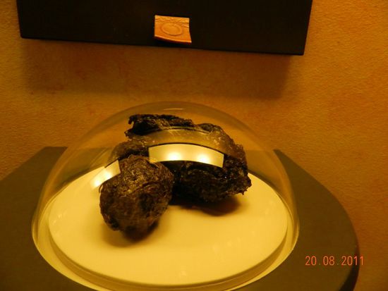 so sieht´s aus wenn der Braunbär mal muss