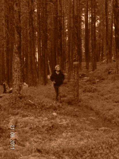 Im Muddus-Nationalpark