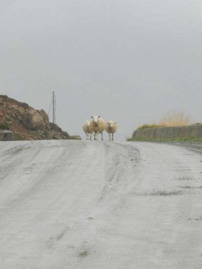 ACHTUNG Schaaaaaf ey.