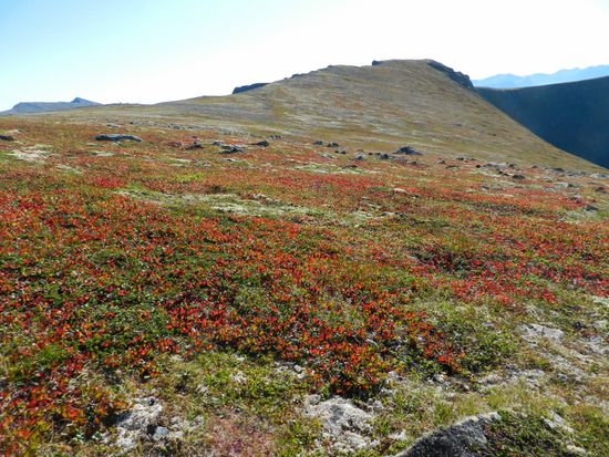 Der Weg ist das Ziel