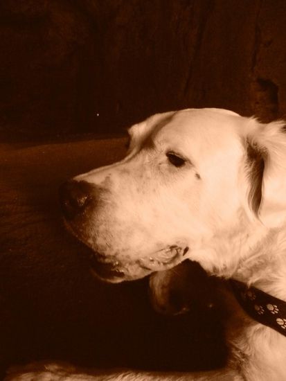 Dogo fand´s auch ganz spannend