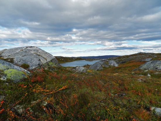 Fjäll.... fehlt nur noch der Raven
