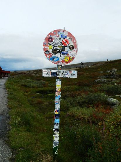 einer fängt an alle machen mit.. cool