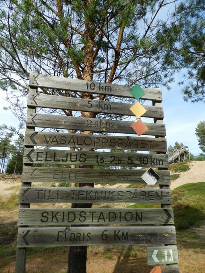 hier trifft sich alles ob jung ob alt zum joggen, rad fahr´n, rollskiing, orientierungslauf oder oder oder ... ganz schön sportlich die Schweden