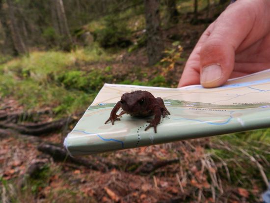 Vorsicht ich kann Karate..uuunnk
