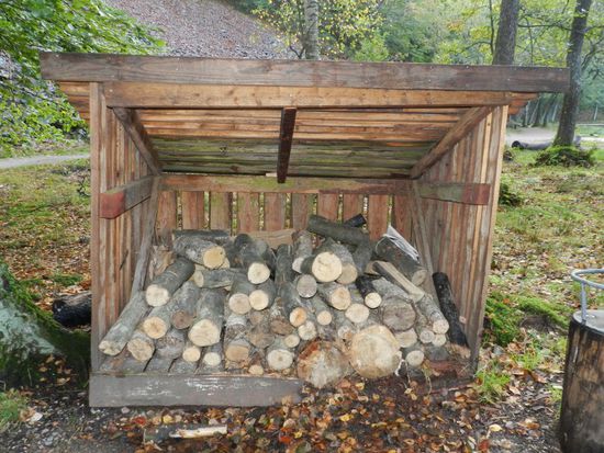 ei gugge mo, do hot datsächlisch scho jemand Holz gesammelt.