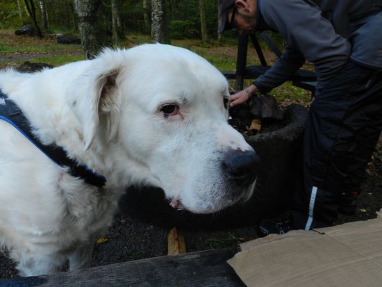 Bitte recht freundlich