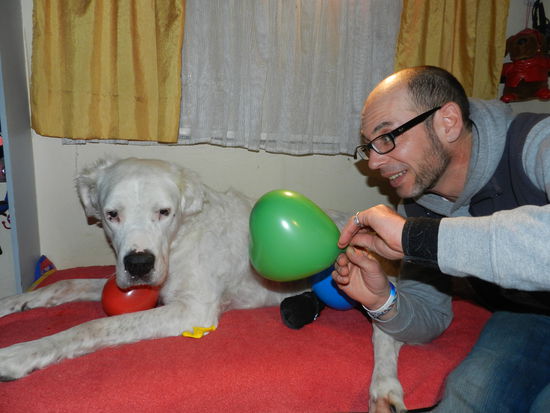 Sind wir nicht alle ein bisschen BLUNA?