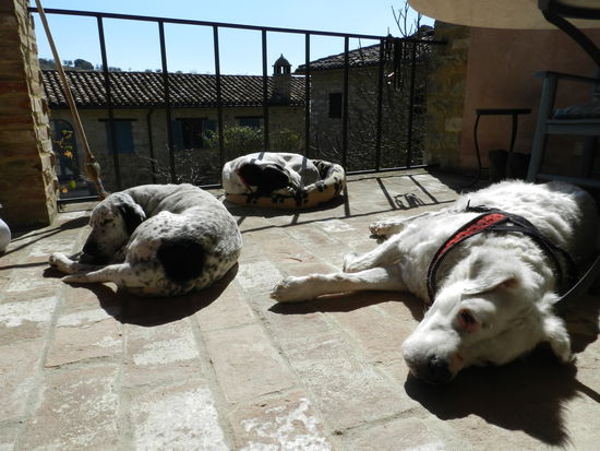 "Hey Jungs! - Heute Gruppen-Gammeln vor Herb und JEssi´s Hütte!"