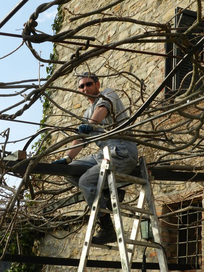 ..wenn svensons auf die Leiter steigen..