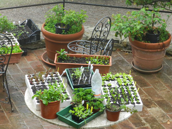 Holländische Terrasse