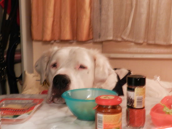 Jetz gebt mir doch endlich Besteck, sons sieht´s wieder aus als wär ich der ohne Anstand.