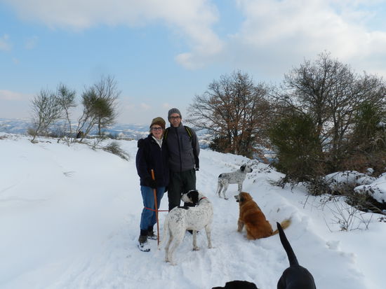 Penny - Sven - vorne Arthur - hinten Edward - Foxy Fuchs  und Buster ( hat sich anders überlegt und wollt doch net mit auf s Bild