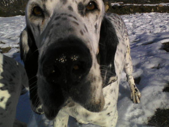 der coolste nach Dogs.. Edward