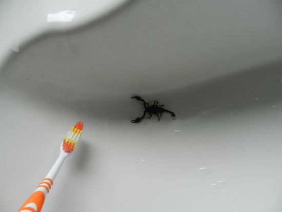 Das ist definitiv nicht der richtige Platz für dich mein Lieber. Schleich dich, aber zackig !