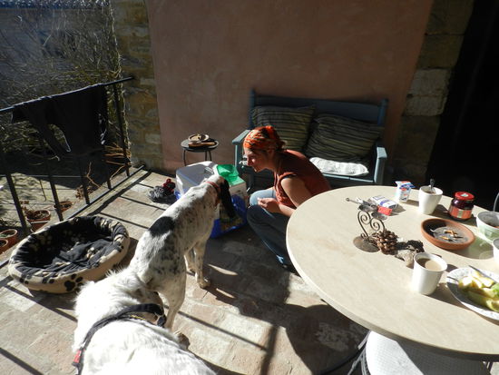 Die "Neuen" müssen natürlich erstmal beschnuppert werden.