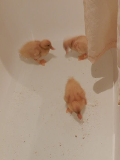 noch etwas vorsichtig..