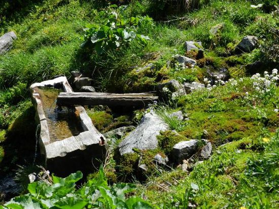Kaltes, Klares Wasser