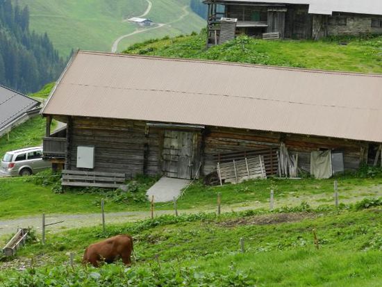 nochmal unser Haus