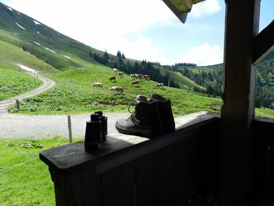 Balkonausblick West