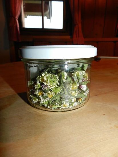 getrocknete Gänseblümchen