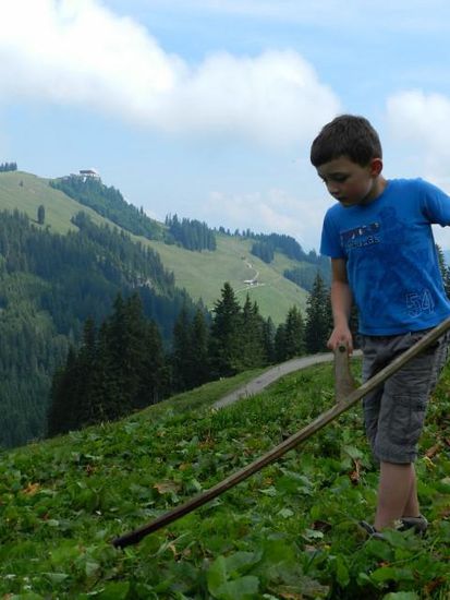 Der Kleine Jonas