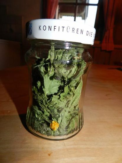 getrocknete Brennnesselblätter
