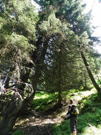 Auf der Suche nach dem perfecten Picknickplatz