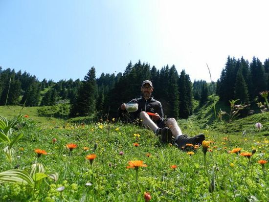 Picknickplatz gefunden