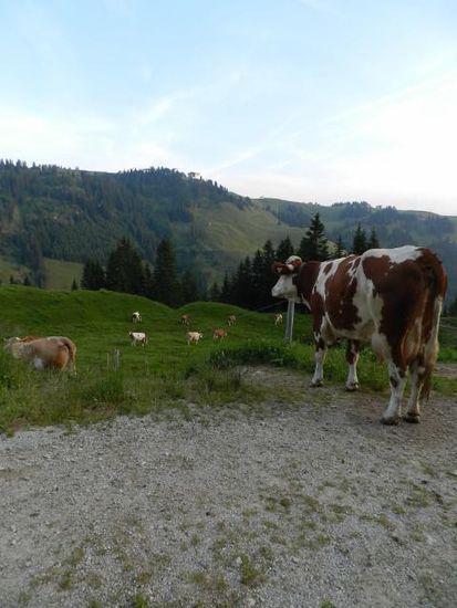 Die Frühschicht auf dem Weg ins Grüne