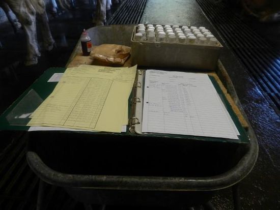 Das Equipement