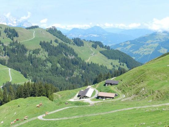 die Alm von oben