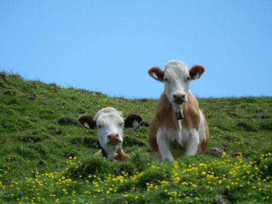 Ey, was geht´n ???