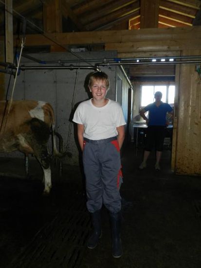 Im Stall.