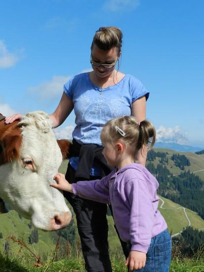 schöi lieb sein zu de Küh, gell