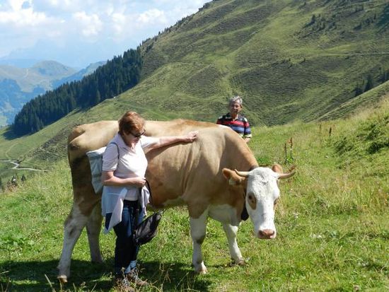 Alminger bei der Arbeit