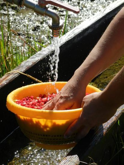 waschen.. und feddisch