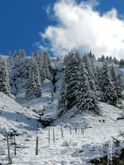 Gries-Alm in weiß. A schöö !