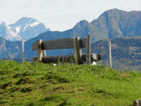 da will man einfach nur sitzen bleiben und die Zeit anhalten
