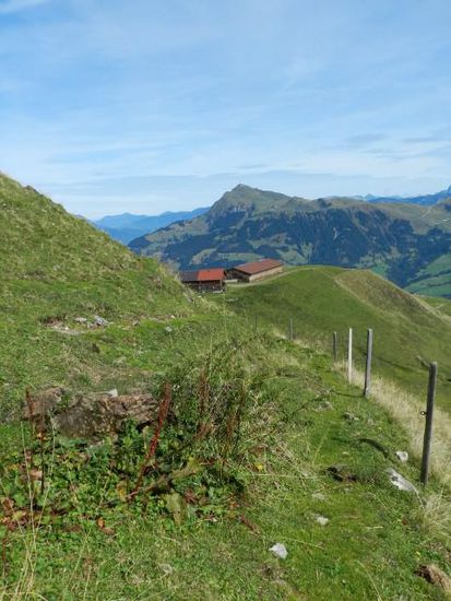 obere Blaufeld-Alm