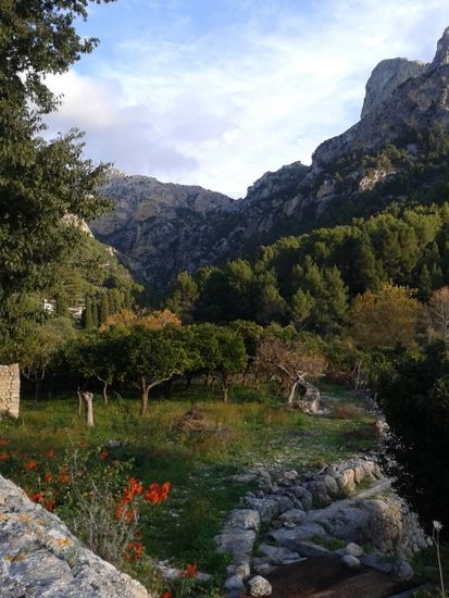 ein fruchtbares Tal