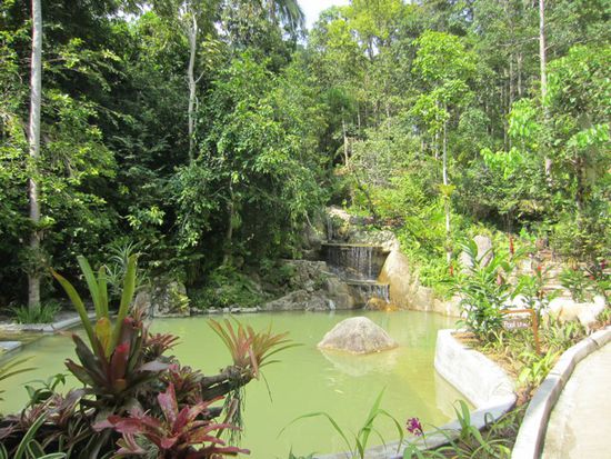 Tropical Garden Samui