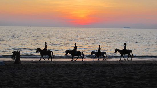 Sunset - So schön kitschig 