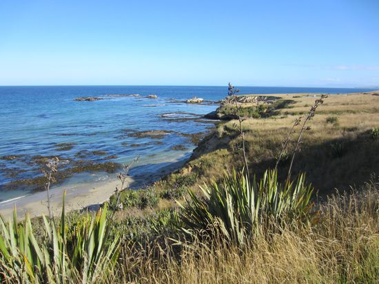 Kurzer Halt am Shag Point! Natur pur...