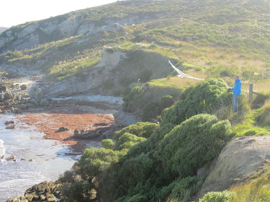 Ein Moritz in freier Wildbahn! Seltenes Tier hier 