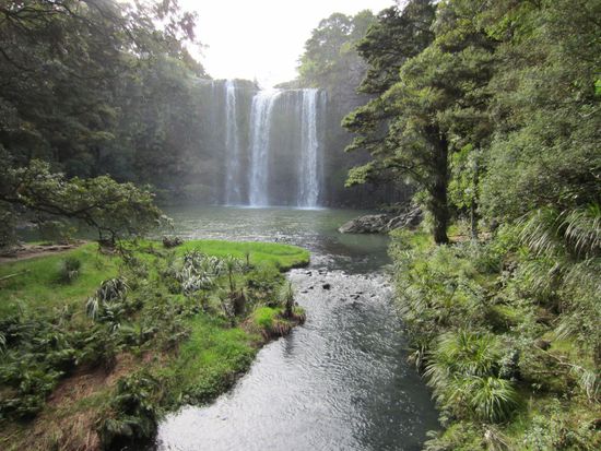 Whangarei Falls