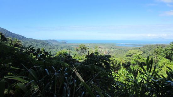 Cape Tribulation