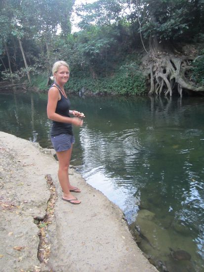 Schildkrötenfütterung