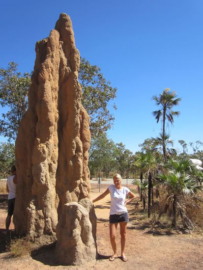 Litchfield-Nationlpark